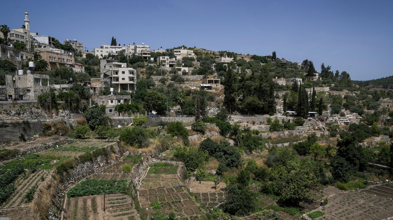 Planned Israeli settlement threatens West Bank UNESCO site ecosystem - Vimarsana News