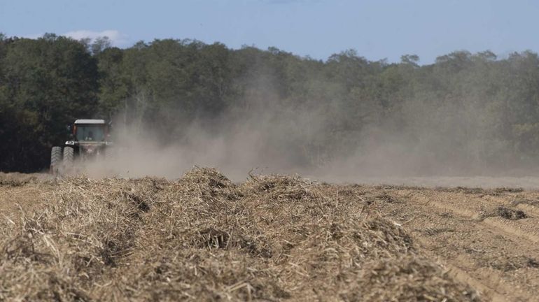 A dry farm field in Cutchogue. Long Island is experiencing...