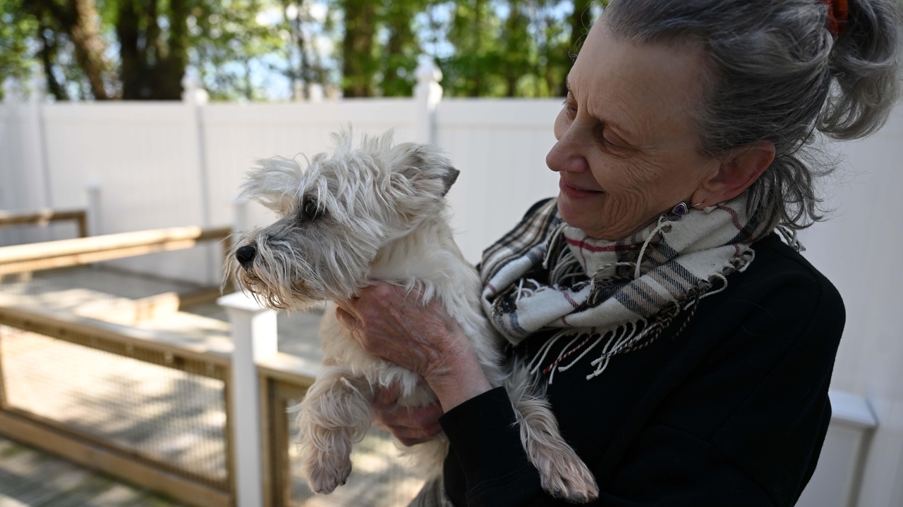 2023 Westminster Dog Show dogs from Long Island - Vimarsana News