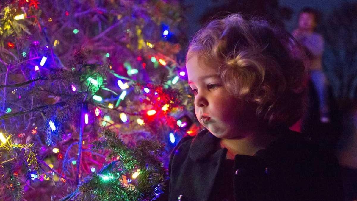 Tree, menorah lightings around Long Island Newsday