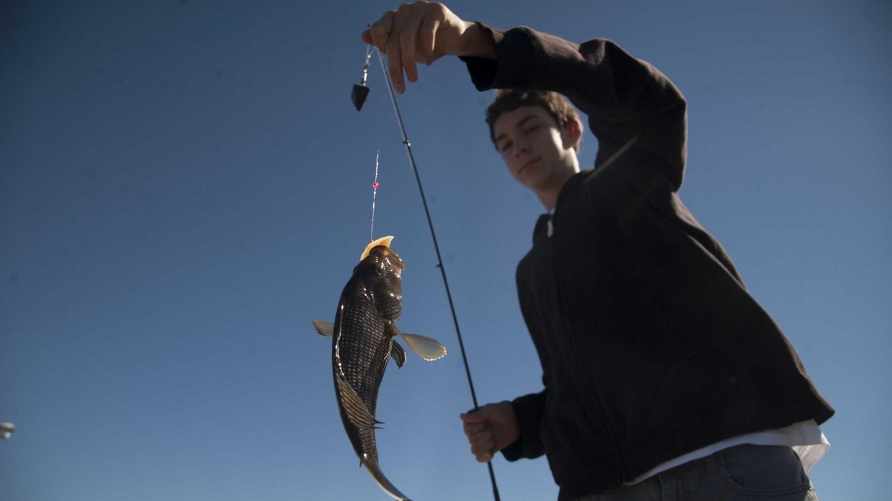 Sea bass fishing explodes off South Shore - Newsday