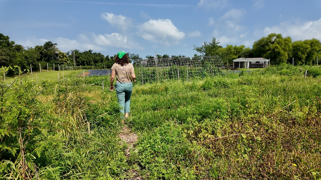 Out East: North Fork Foodie Tour