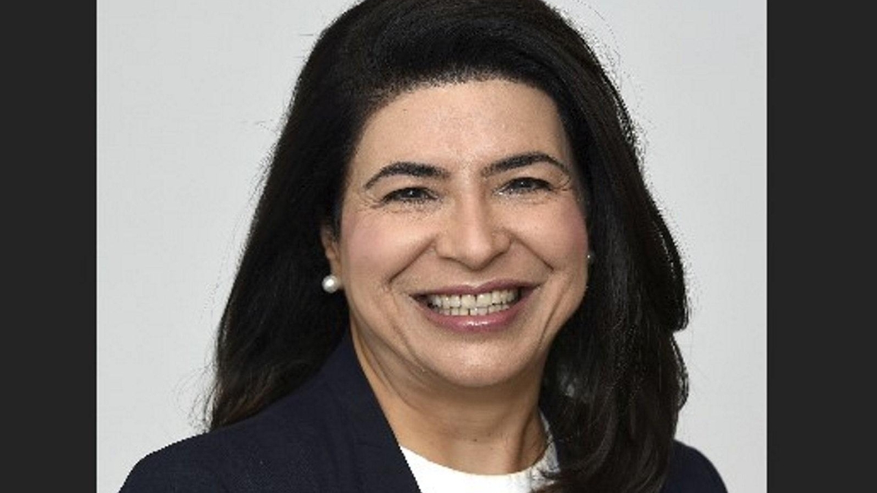 Anna Kaplan, former state senator, enters race to challenge George Santos - Vimarsana News