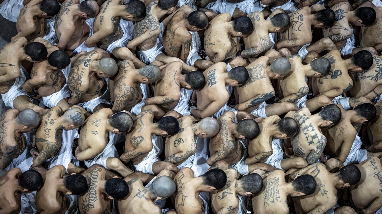 El Salvador plans mass trials for those imprisoned in gang crackdown ...