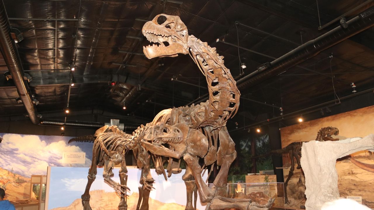 Center for Science Teaching and Learning in Rockville Centre hosts