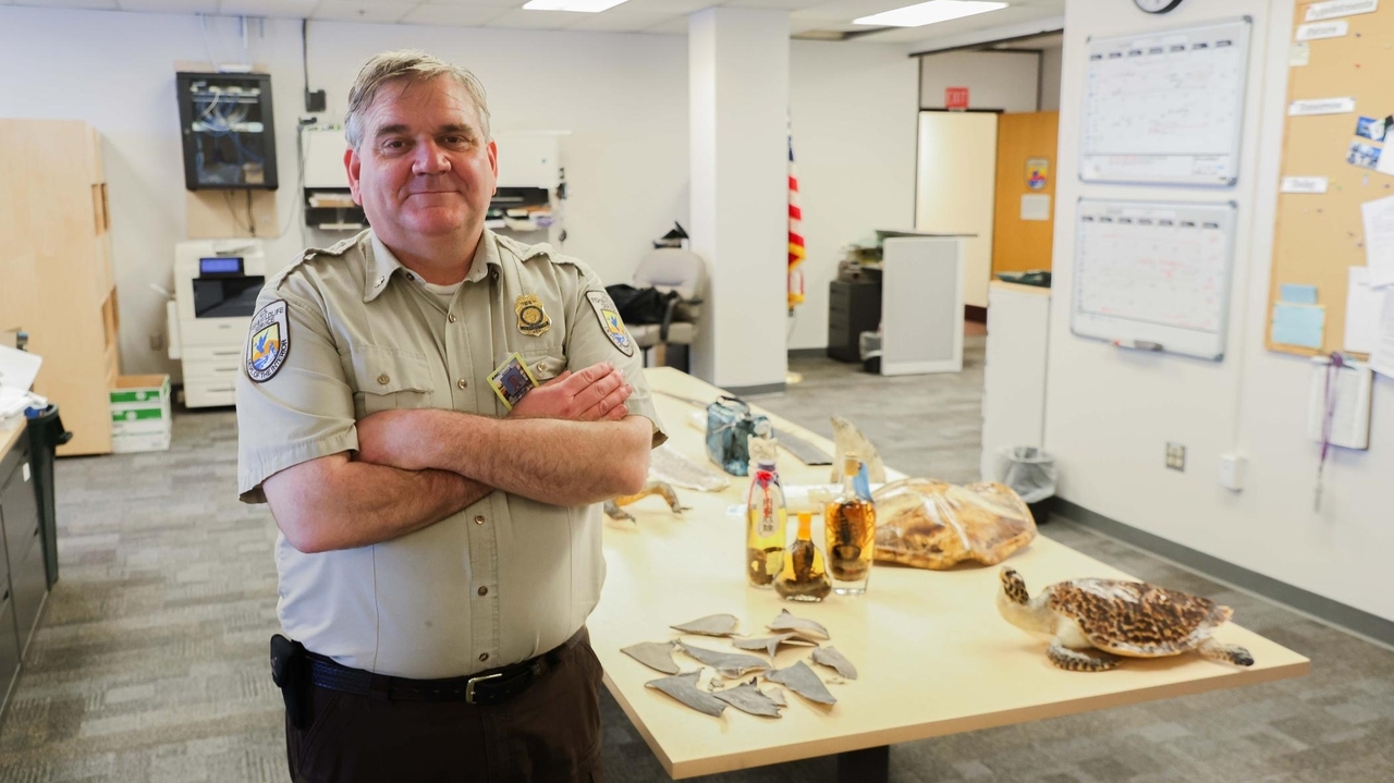 'Hey, this box stinks': the weird work of intercepting trafficked wildlife in Alaska