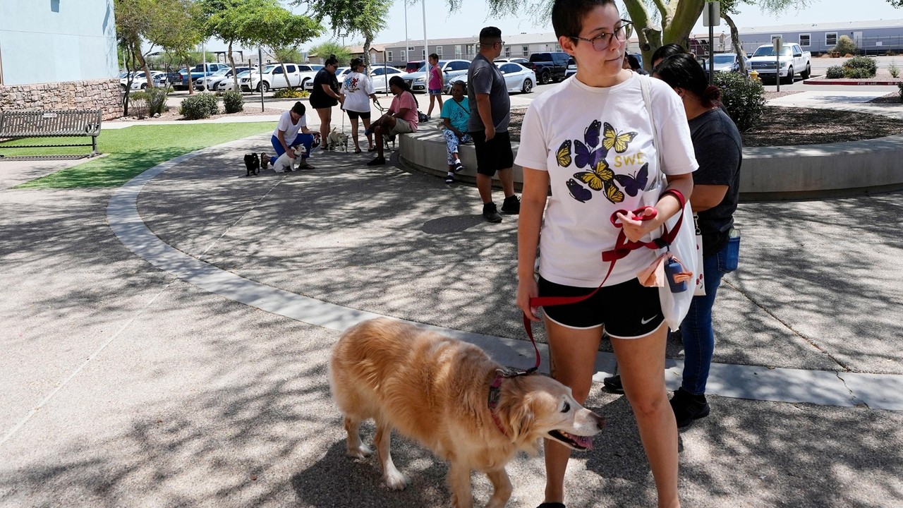 ThunderShirts, dance parties and anxiety meds can help ease dogs' July 4th dread - Vimarsana News