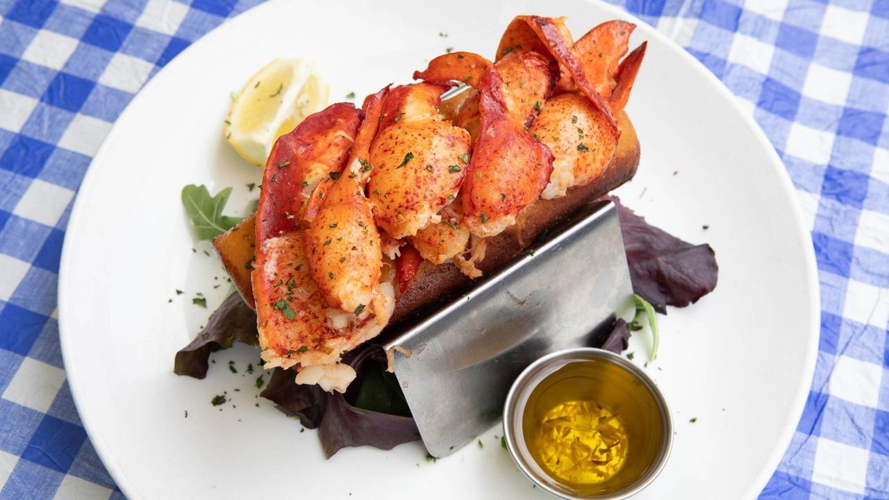 Must-eat lobster rolls on Long Island - Vimarsana News