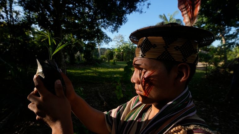 Ashaninka indigenous youth Tayriykari inspects acai trees for reforestation in...