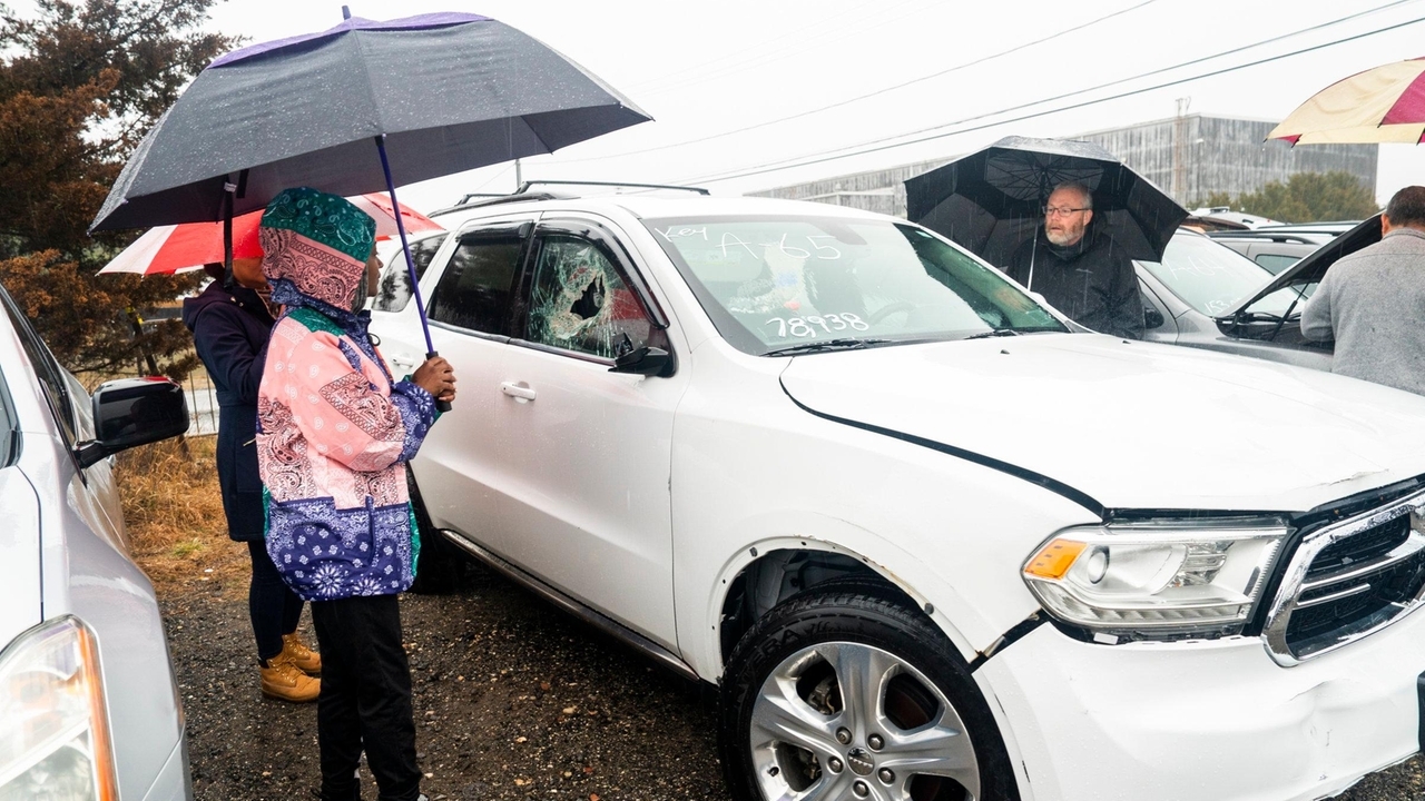 Vehicle auction by Suffolk police draws about 1,000 bidders - Newsday
