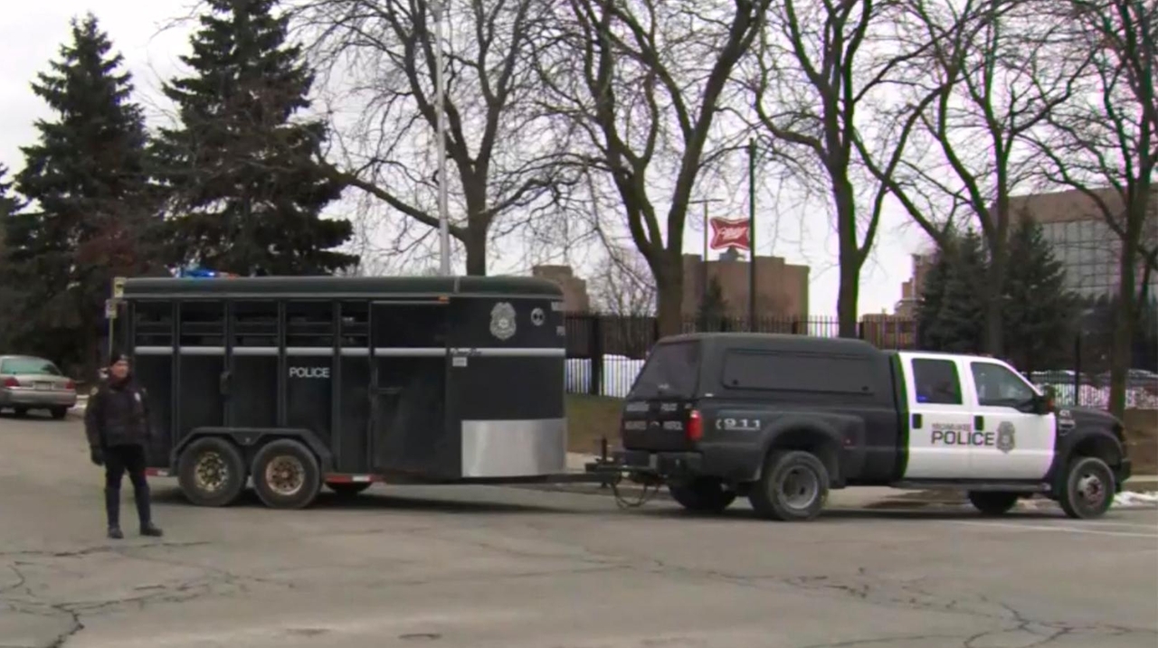 Police: Gunman killed 5 at at Milwaukee brewery complex - Newsday