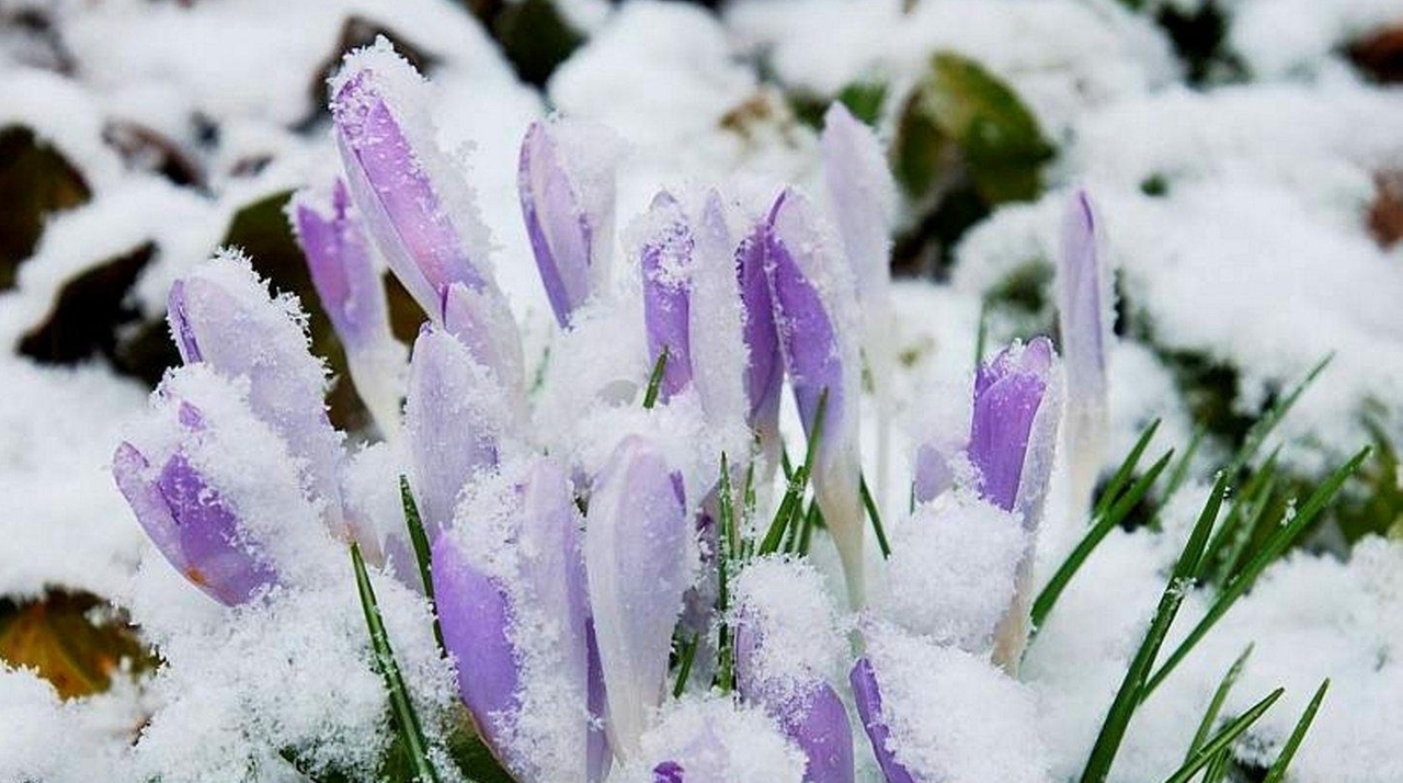 Long Island weather: Snow in forecast for first day of spring - Newsday