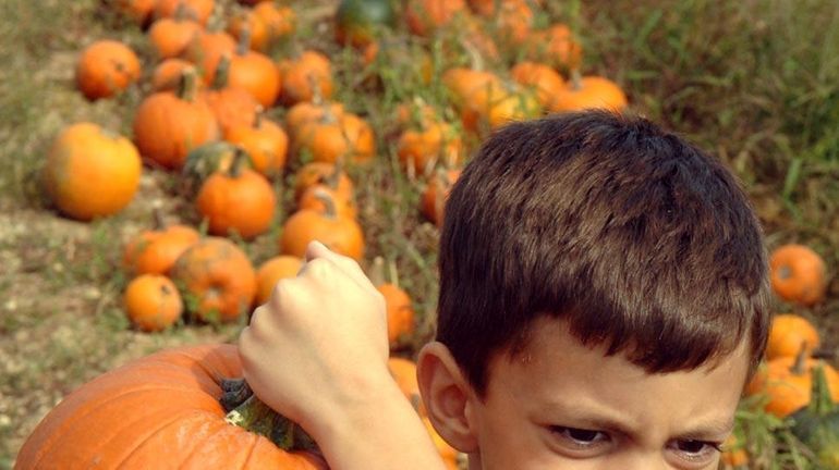 Kids can enjoy pumpkin picking and more fun fall activities...