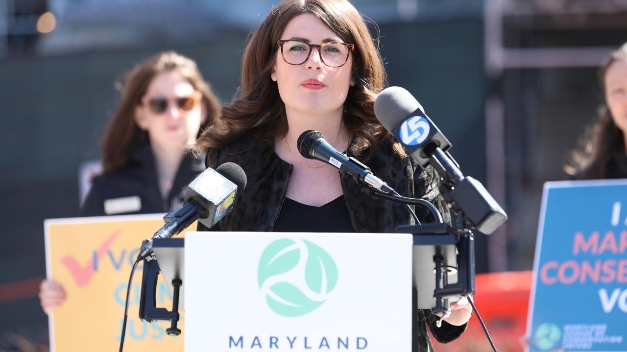 Maryland State Sen. Sarah Elfreth wins Maryland Democratic congressional primary - Vimarsana News