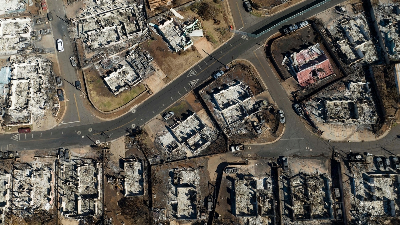 Images from Maui's fires tell a haunting story - Vimarsana News