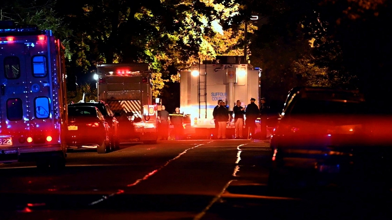 Albany man pleads guilty to fatal stabbing of ex-girlfriend in midst of ...