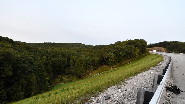 Trees stand in wooded areas alongside Interstate 75 near Livingston,...