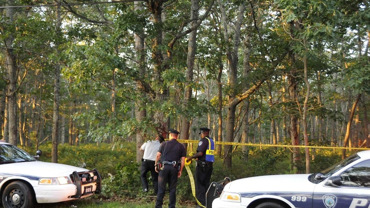 2 hurt in E. Hampton small plane crash Newsday