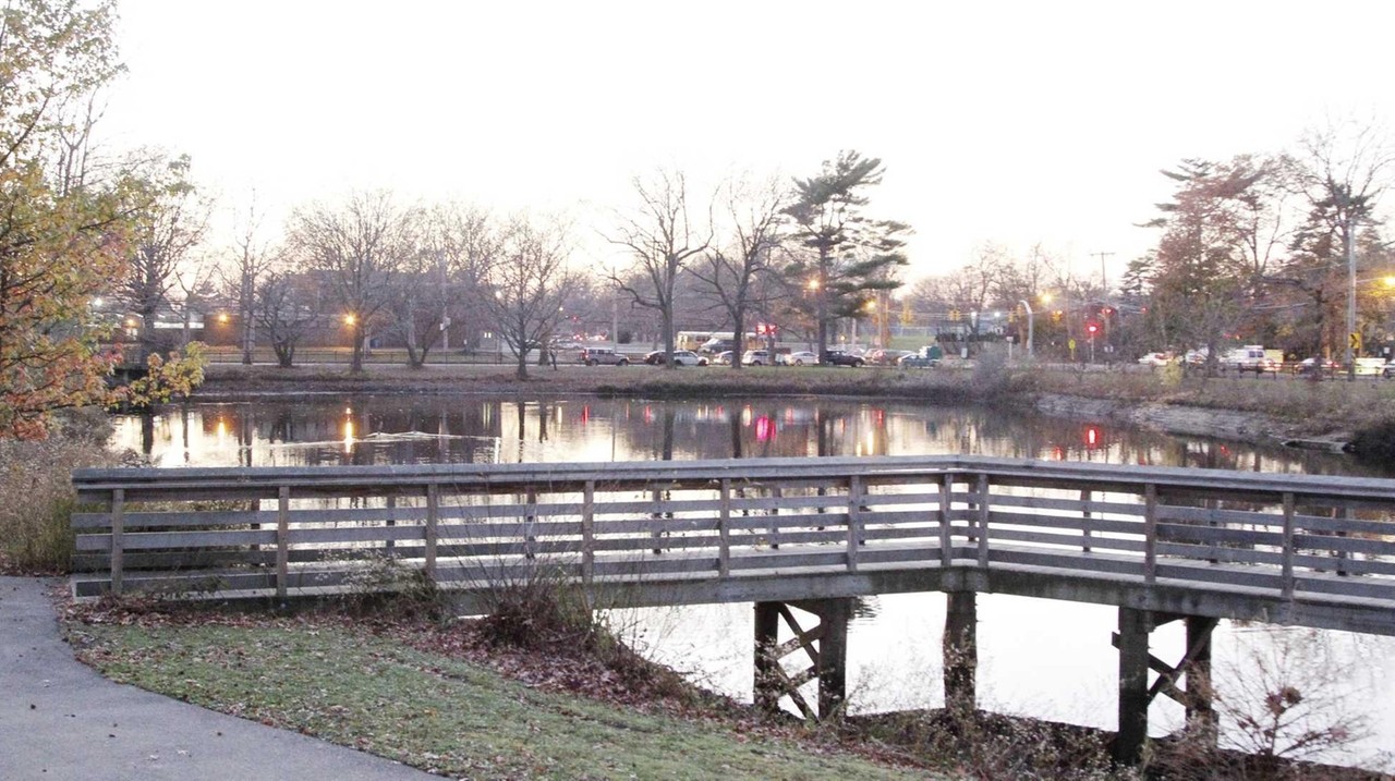 Herricks Pond grant to unleash new fish in Nassau County park - Newsday