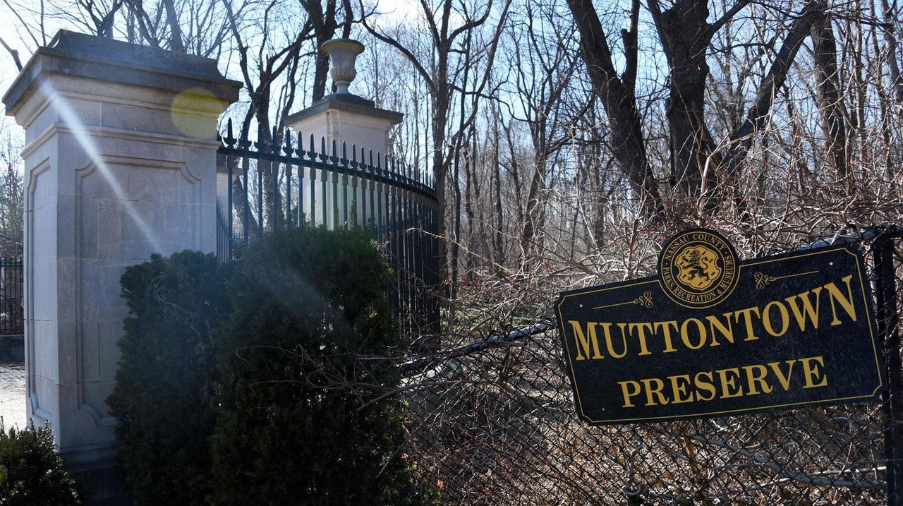 Little development in Muttontown, LI's 'very peaceful' spot Newsday
