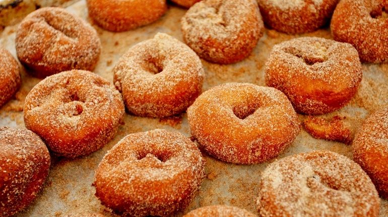 Homemade apple cider donuts are dusted with cinnamon sugar at...