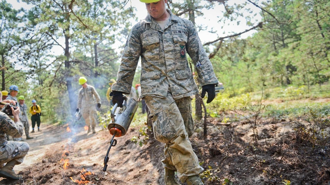 Guard members learn to fight wildfires - Newsday