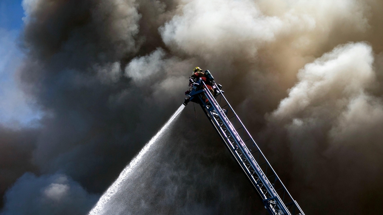More than a dozen people, 3 dogs rescued from apartment fire in downtown Portland, Oregon - Vimarsana News