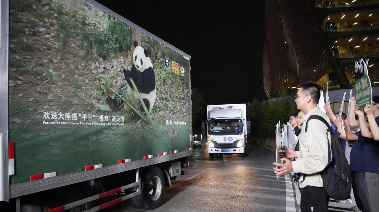 2 giant pandas arrive in Atlanta under a US-China government agreement ...