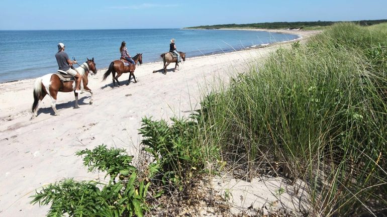 Horseback riders from nearby Deep Hollow Ranch make their way...