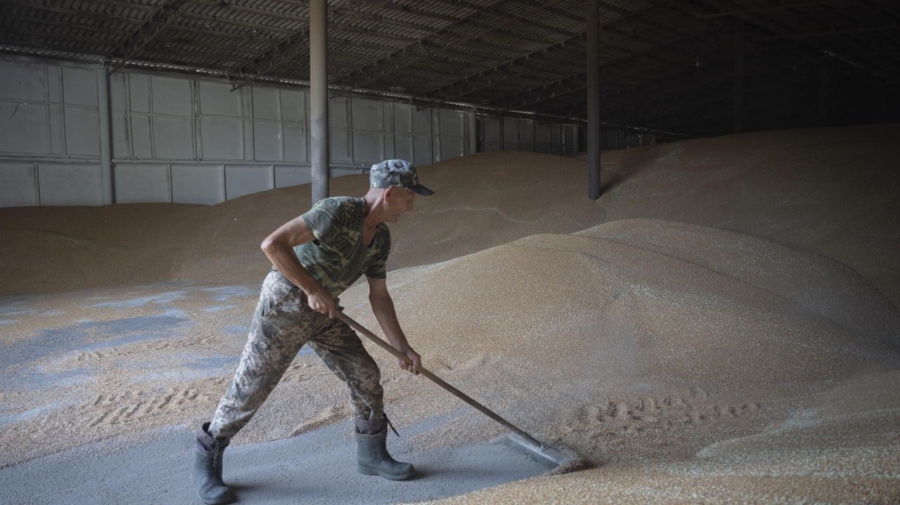 As the Black Sea becomes a battleground, one Ukrainian farmer doesn't know how he'll sell his grain - Vimarsana News