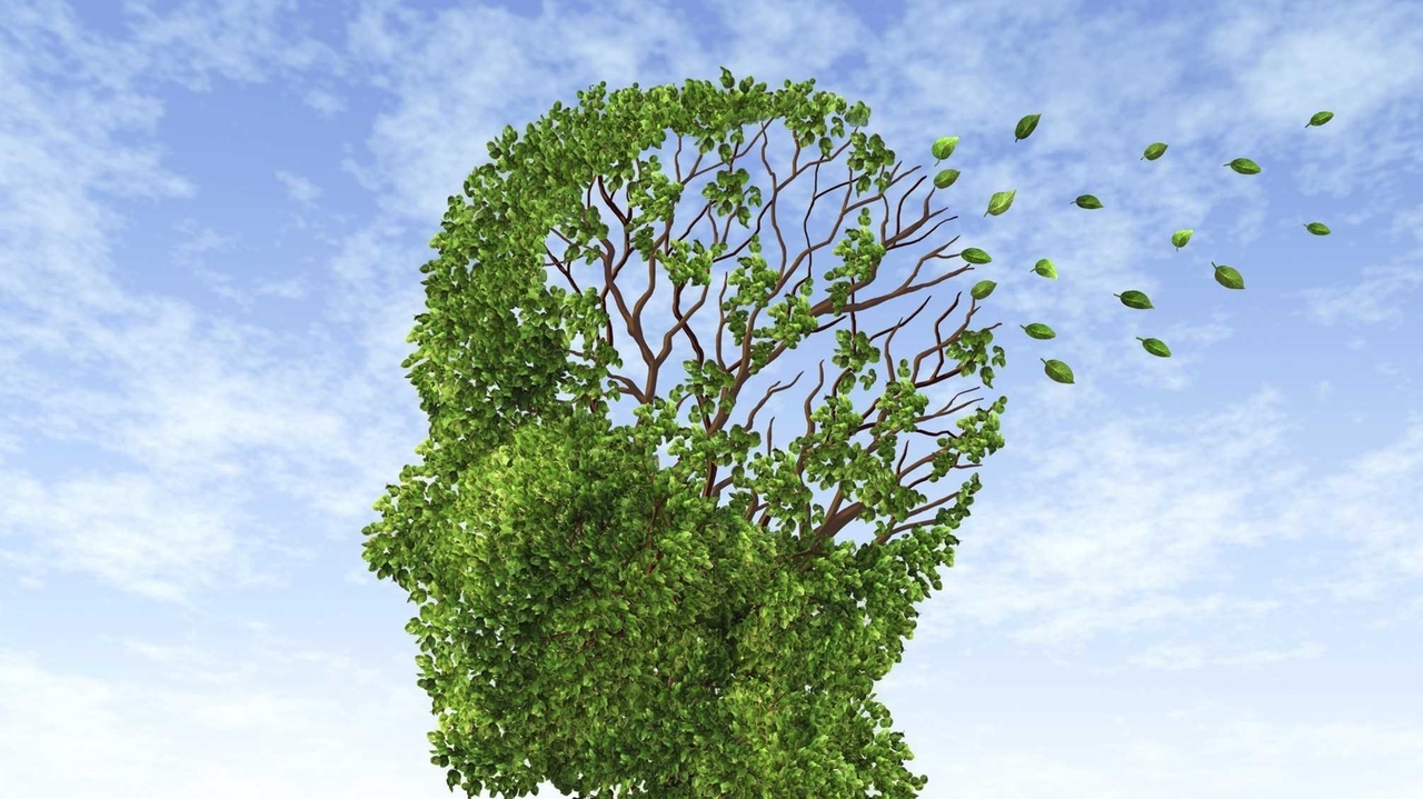 The surprising way to help your brain remember - Vimarsana News
