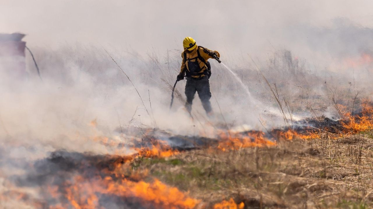 State's season for controlled forest, grassland fires to start soon ...