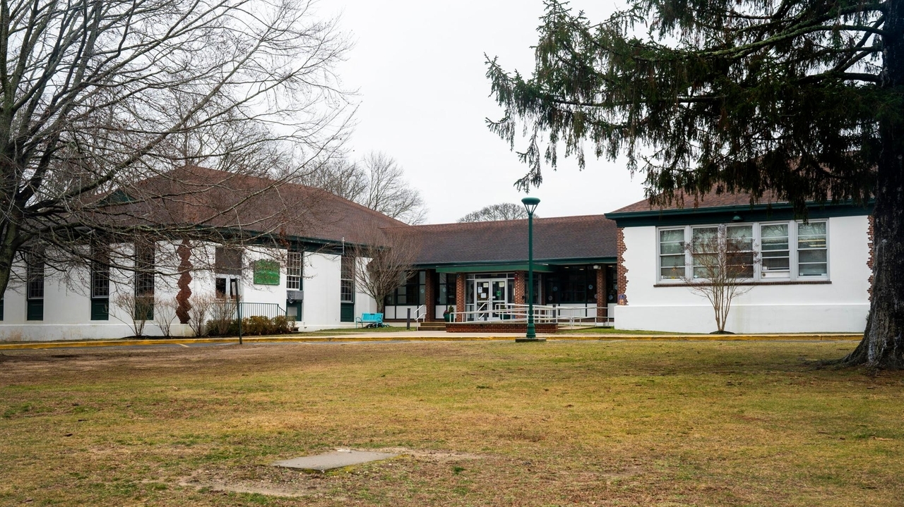 Former Springs school official sues district, saying she was fired ...