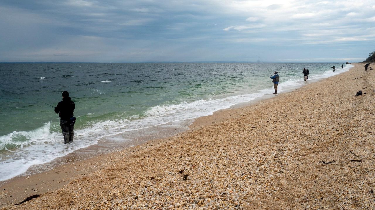 Long Island Sound water quality plateaued or declined in 2022, Save the