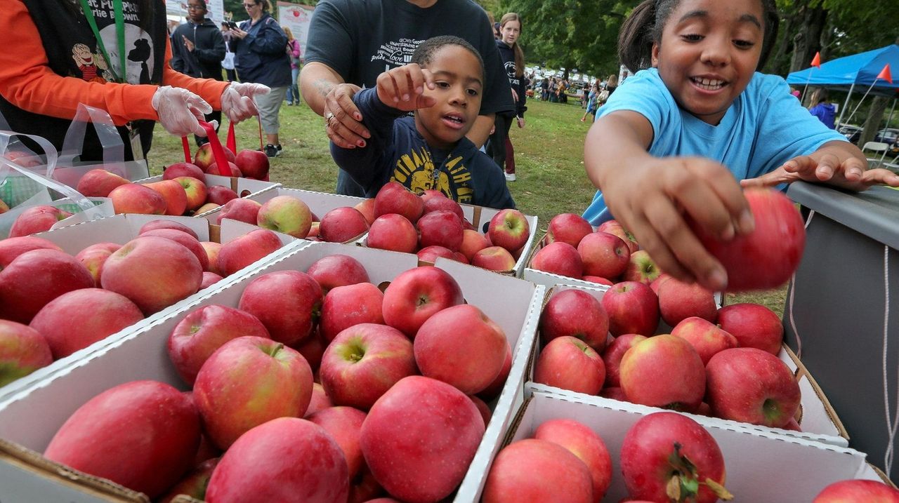 Honeycrisp Apples (5lb Bag) fresh picked