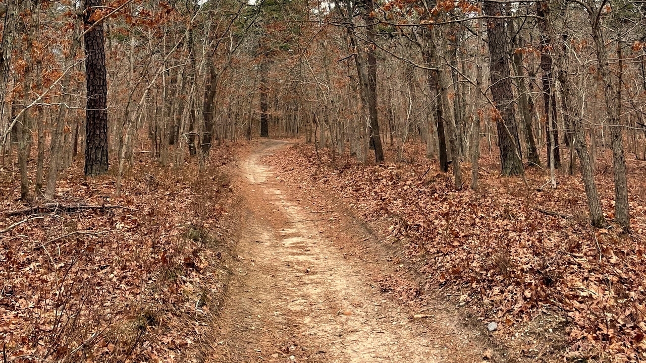 Brookhaven completes swap with developer that will allow town to preserve 152 acres in Manorville - Vimarsana News
