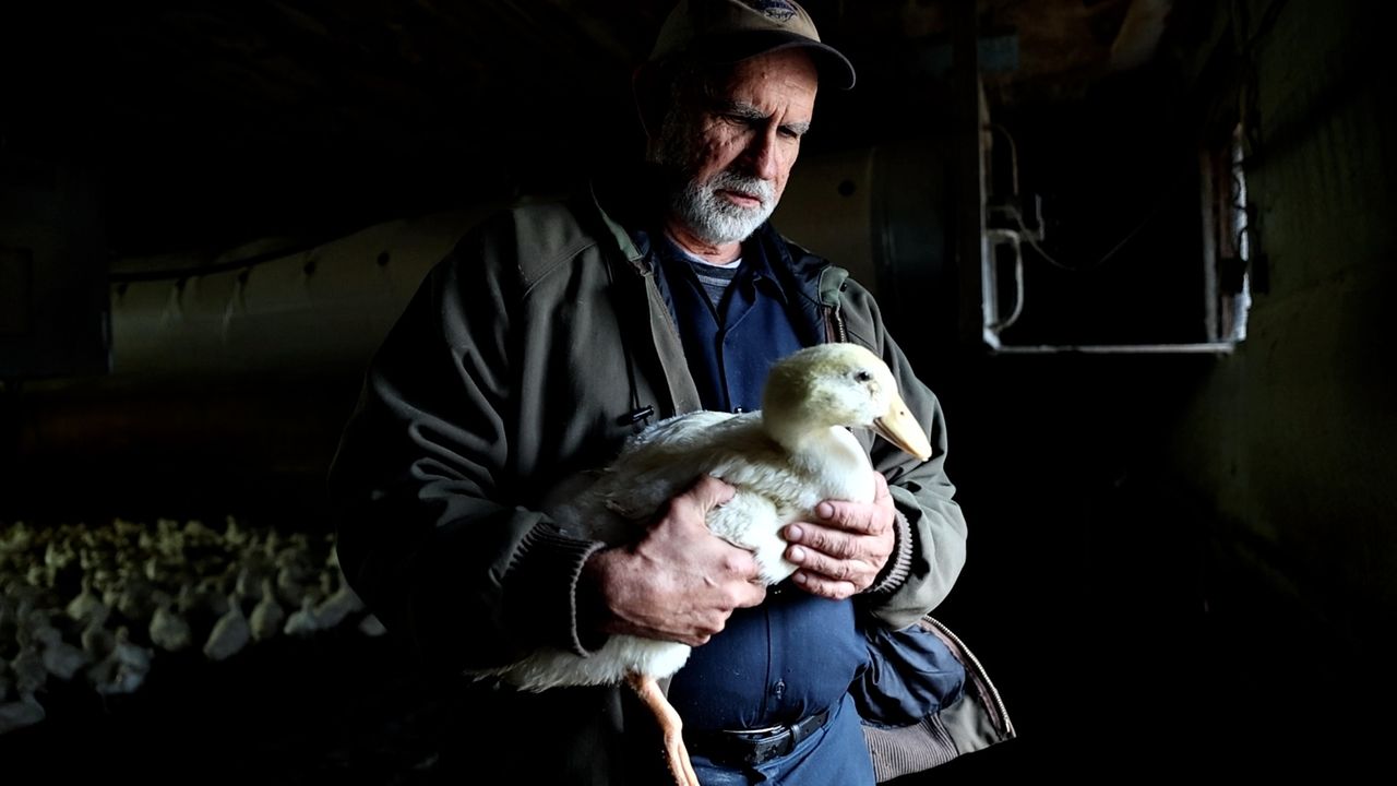'It's a good feeling to go back and see healthy animals growing'