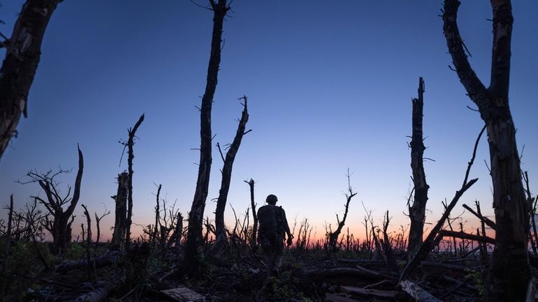 Ukrainian servicemen walk through a charred forest at the frontline...