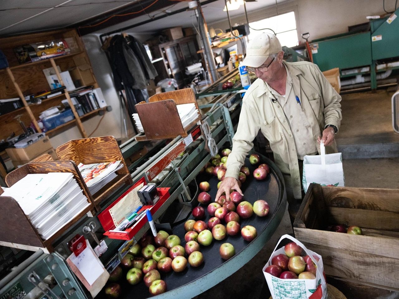 Fresh Apples Archives - Apple Holler