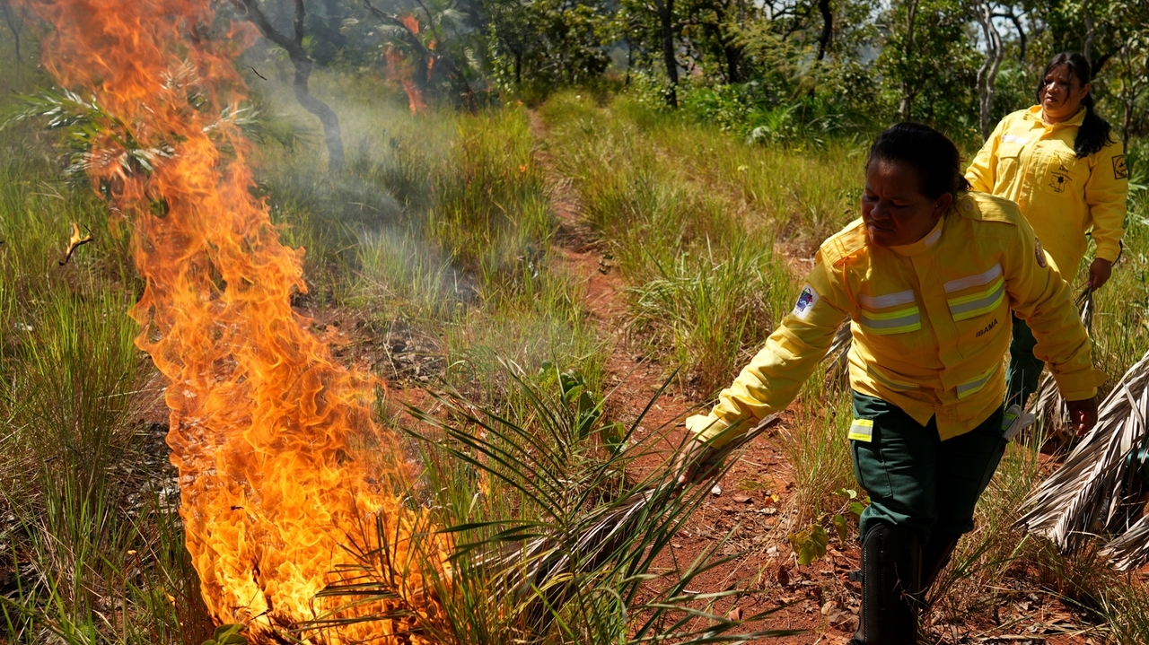 Xerente aplican quemas controladas para evitar incendios