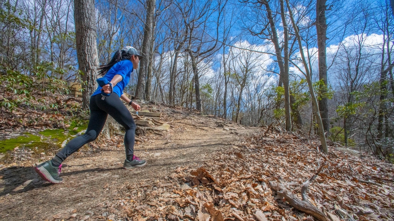 Hiking Long Island's hills: State parks, trails and more - Vimarsana News
