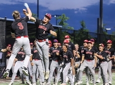 Alex Foster, Richie Roberts pitch Center Moriches baseball to county title