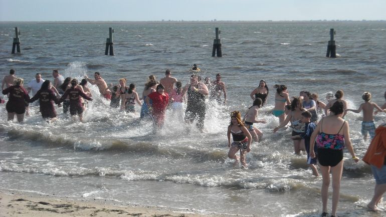 Dozens take the plunge into the Great South Bay at...