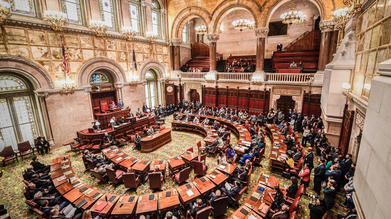 New York State Senate: An overview of our endorsements - Newsday