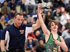 Nassau Division 2 wrestling champions