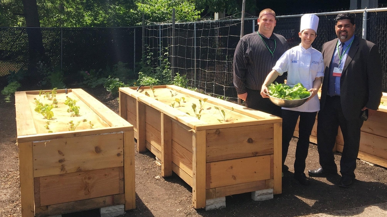 LIJ Valley Stream launches sustainable gardening program Newsday