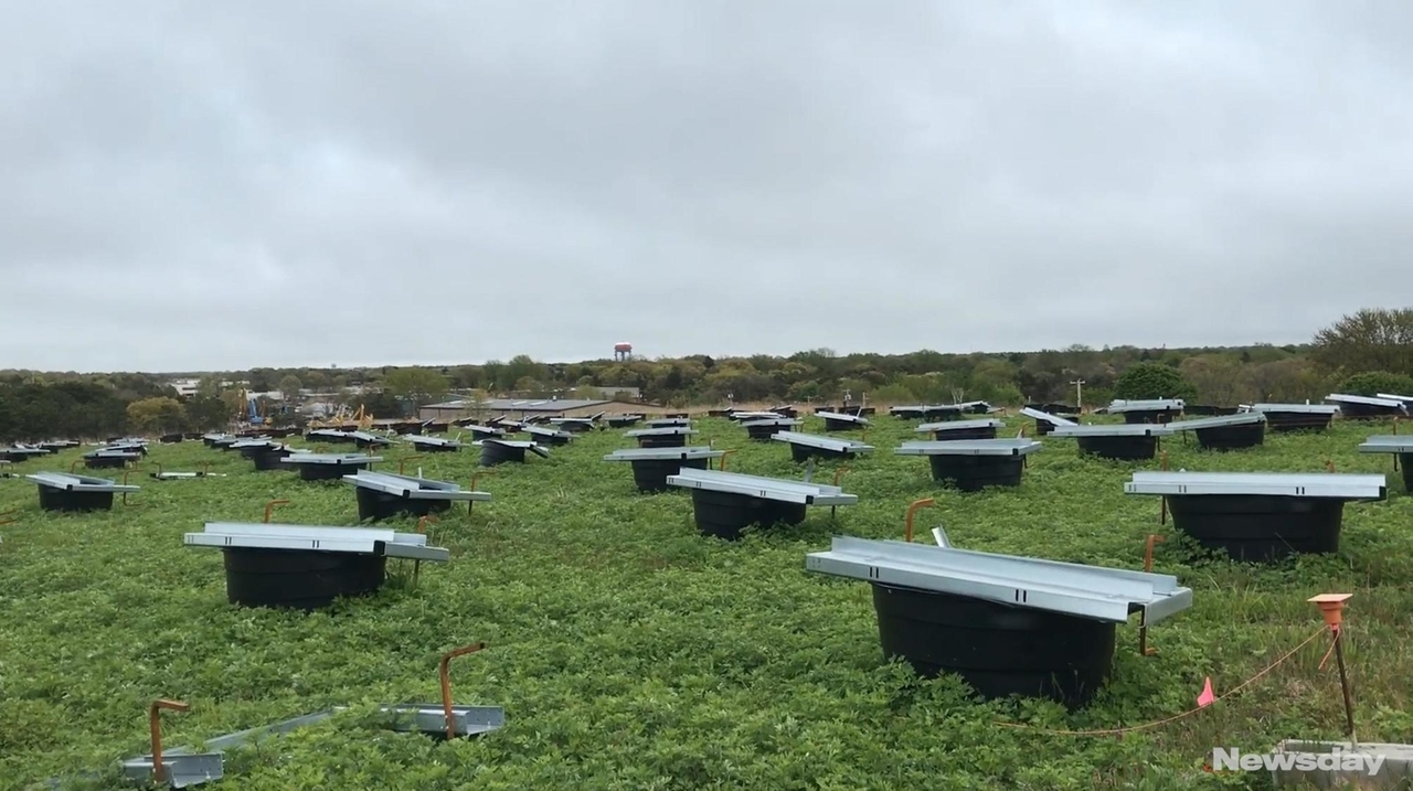 Capped landfills in Islip will be turned into solar farms - Newsday