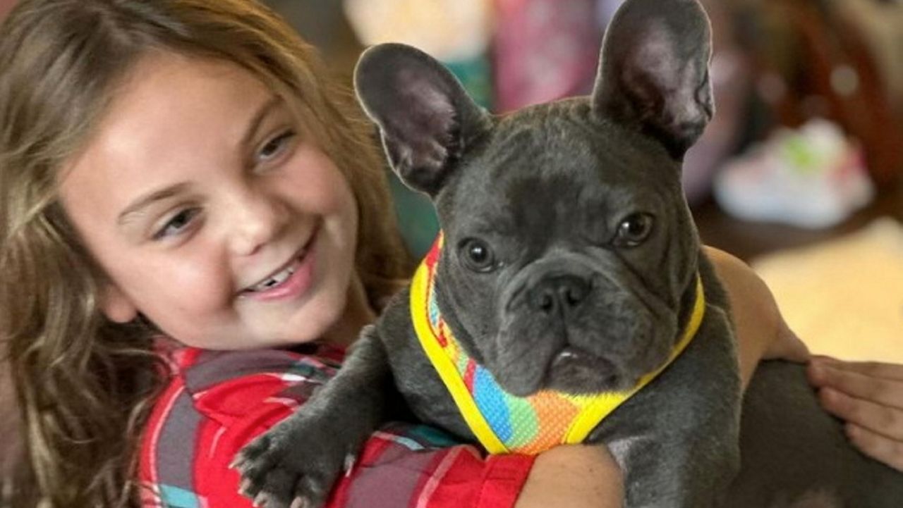 Billy Joel and his family adopt rescue dog Newsday