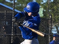 Tucker Brown helps Hauppauge baseball force deciding game in Suffolk 'AA' finals