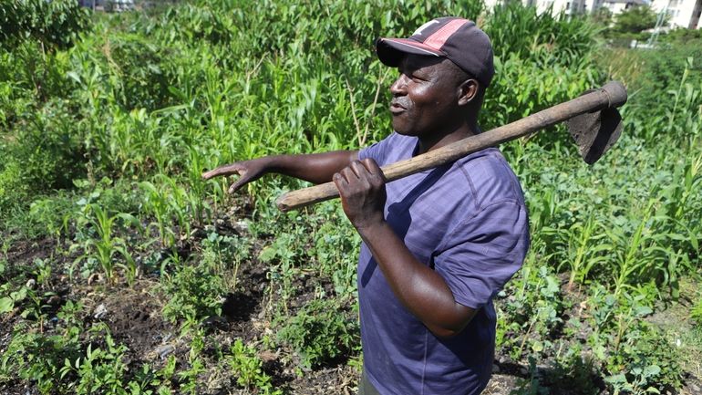 Benson Wanjala talks about the health of his soil at...